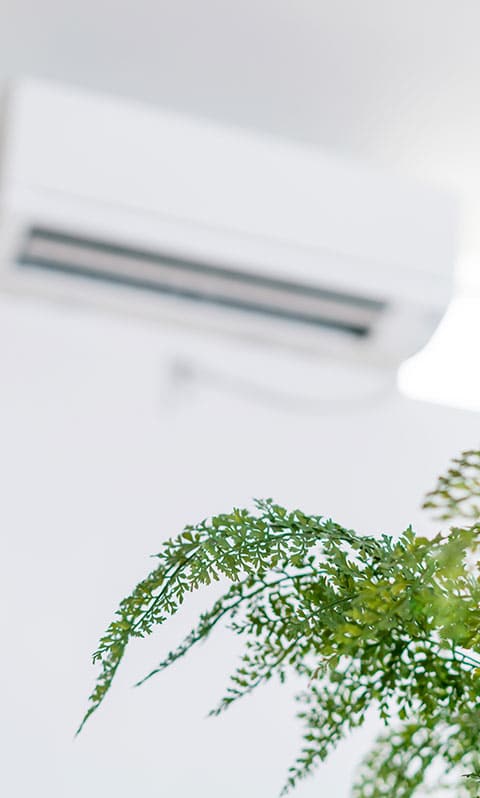 Climatisation et confort : unité murale et plante verte Climatiseur mural blanc en arrière-plan flou avec une plante verte fraîche au premier plan pour un intérieur sain.